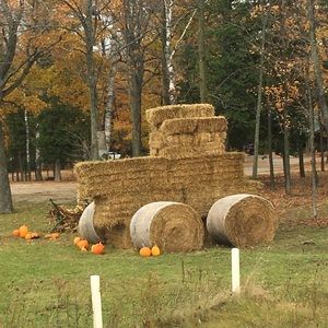 Meet your Posher, Tabitha